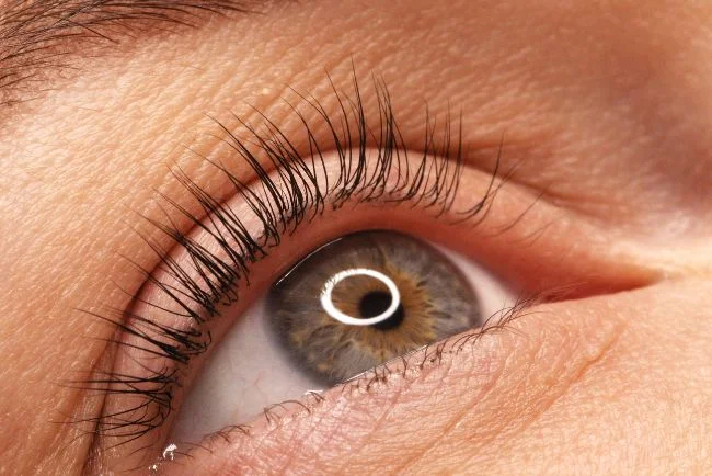 Lash-Lifting Schulung